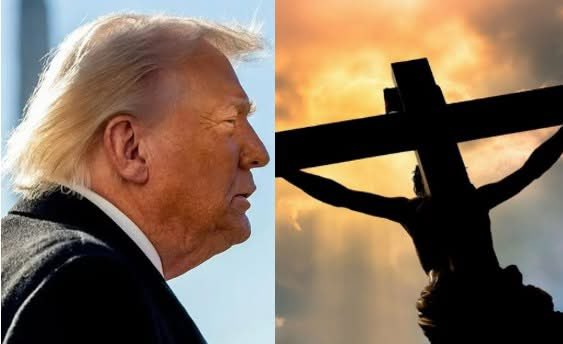 Occupy Democrats tweet media