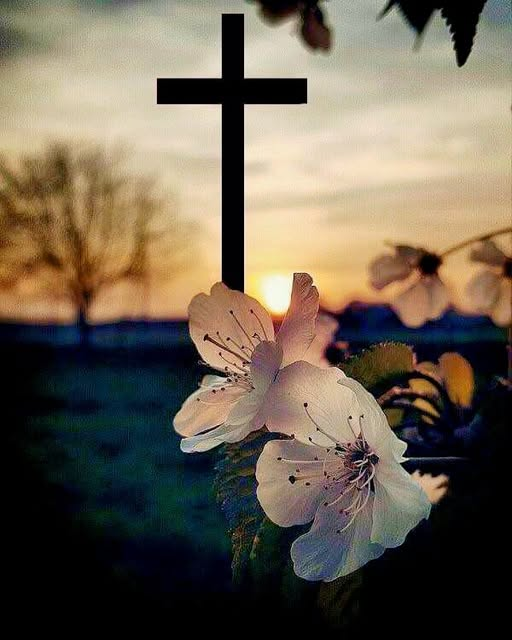 Εφη Σαλαχα tweet media