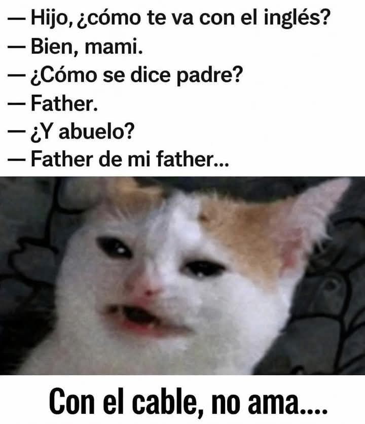 𝕮𝕬𝕭𝕬𝕷𝕷𝕰𝕽𝕺 🖤 𝕹𝕰𝕲𝕽𝕺 tweet media