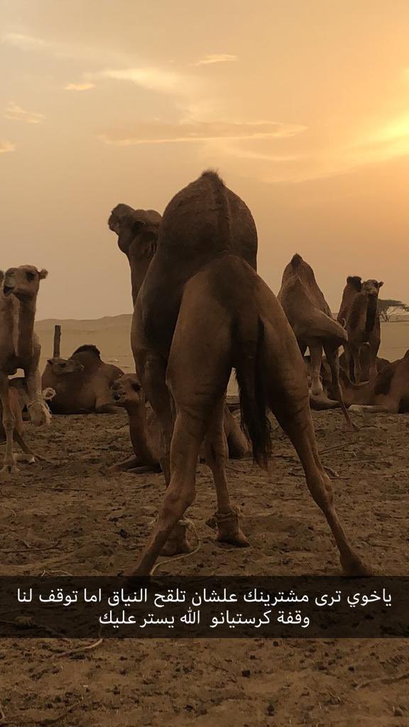 de_rossi16 tweet media