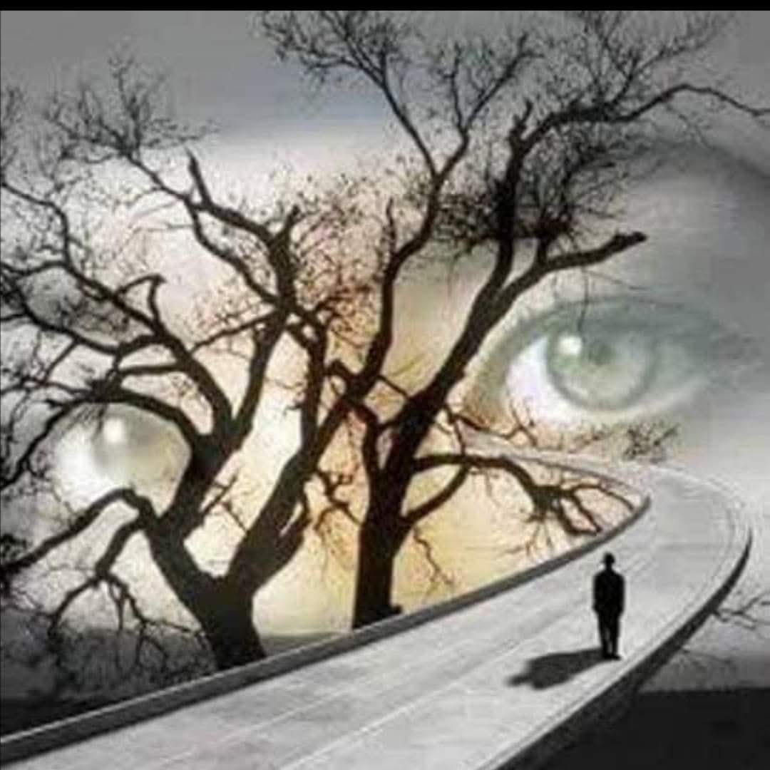 Mohammed tweet media