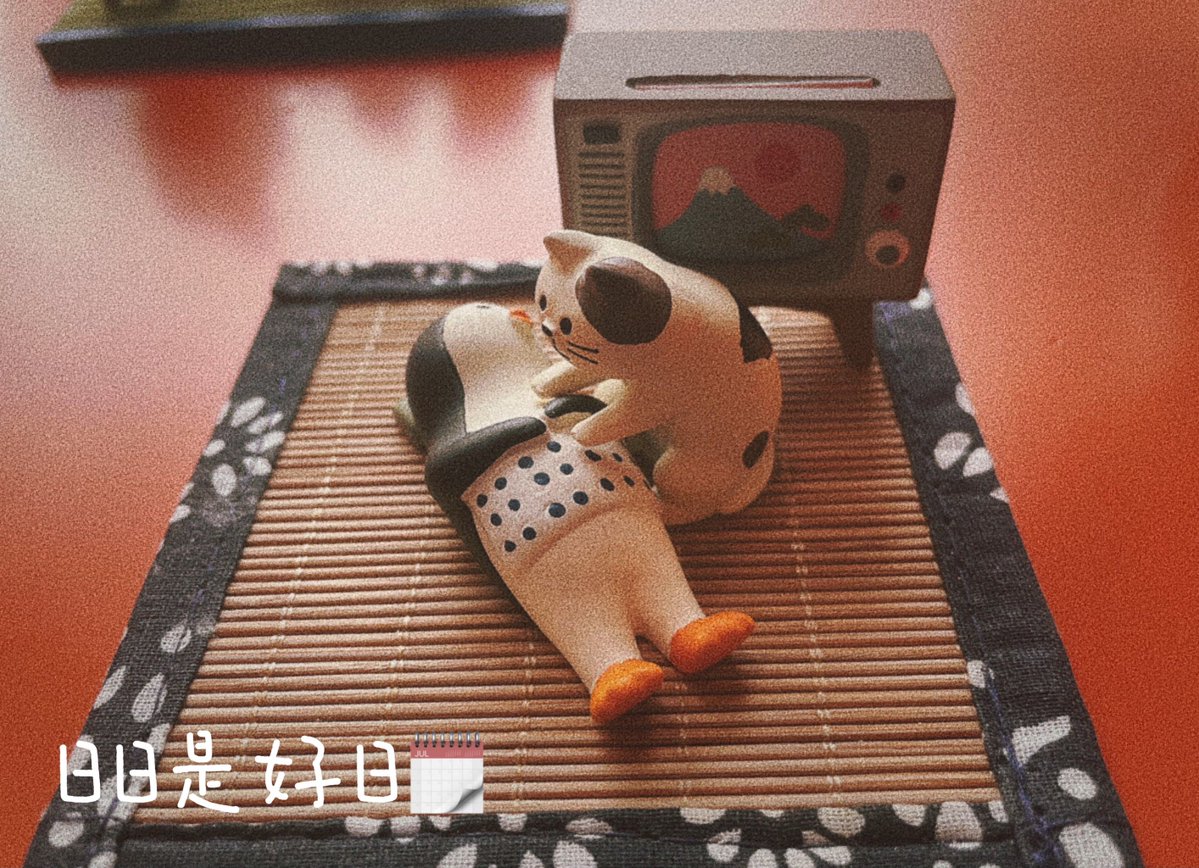 Sarah Wright tweet media