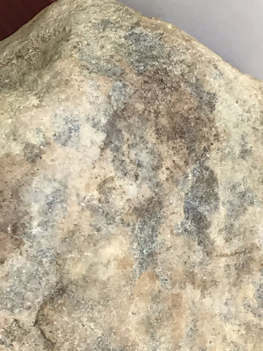 Daniel J Ebbeling tweet media