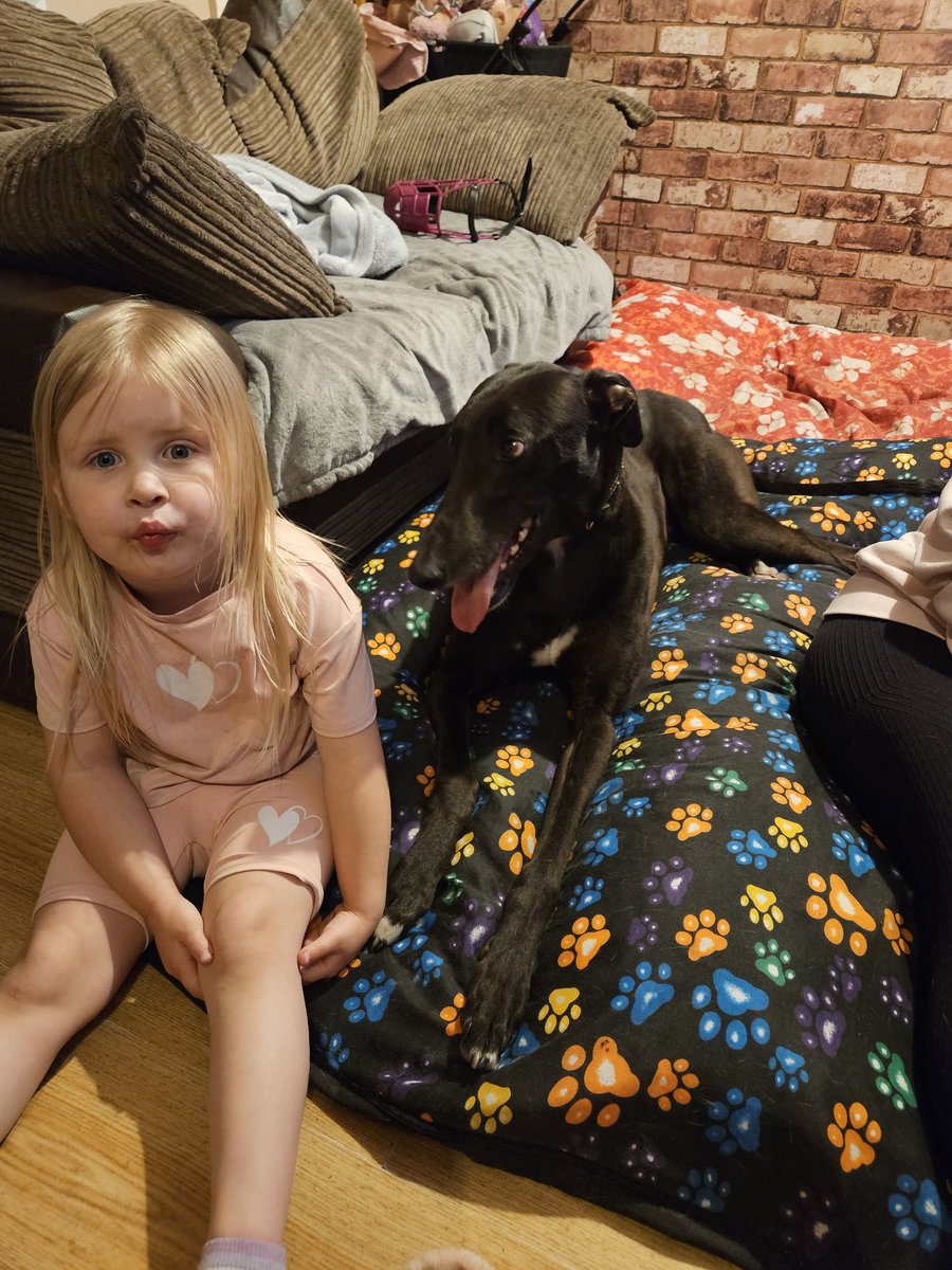 denise ryan tweet media