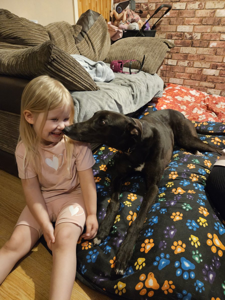 denise ryan tweet media