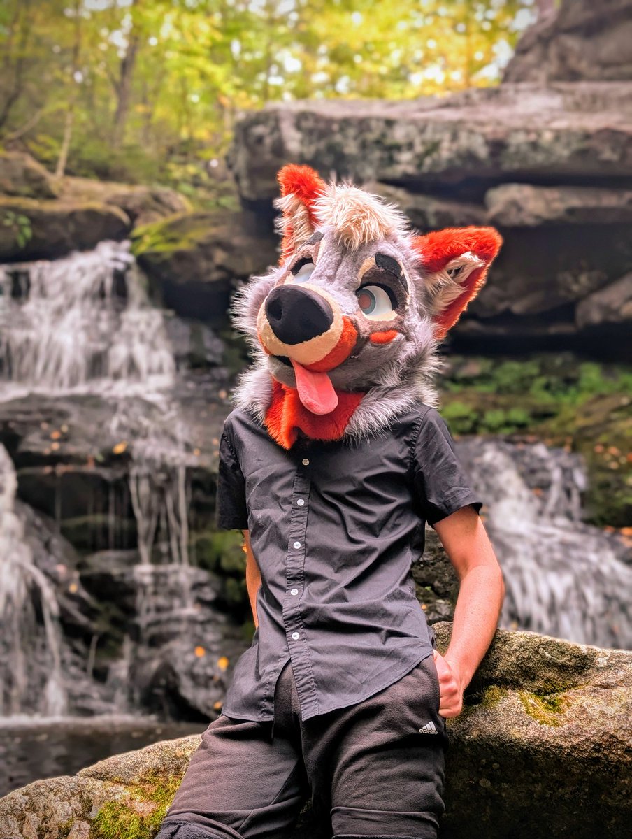 Lucky 🐾 tweet media