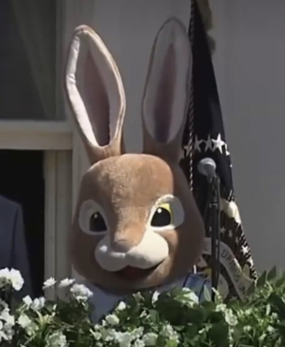 🄱🄴🄽🄹🄰🄼🄸🄽 📀🏇🏼 tweet media