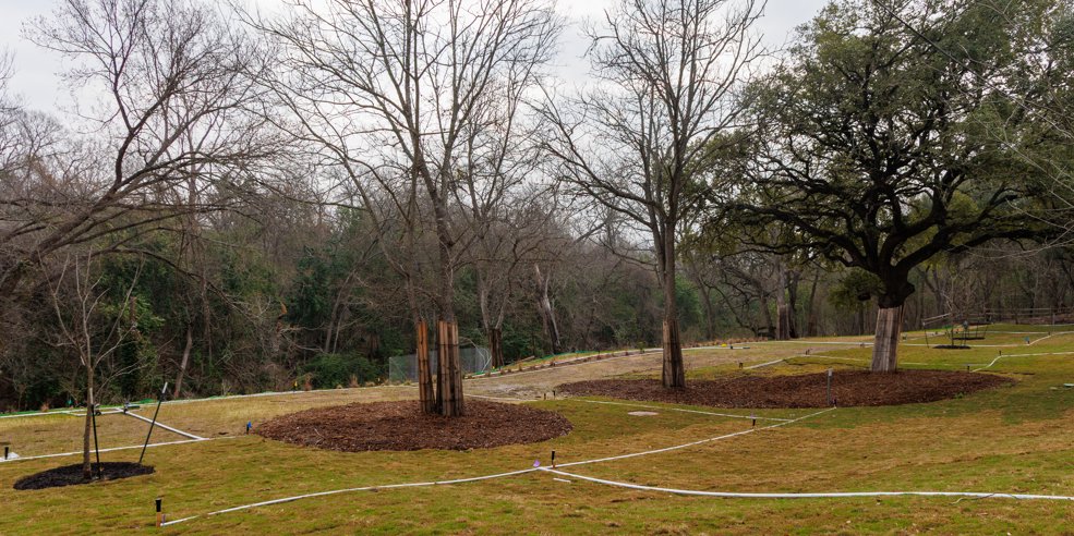 Austin Watershed Protection tweet media
