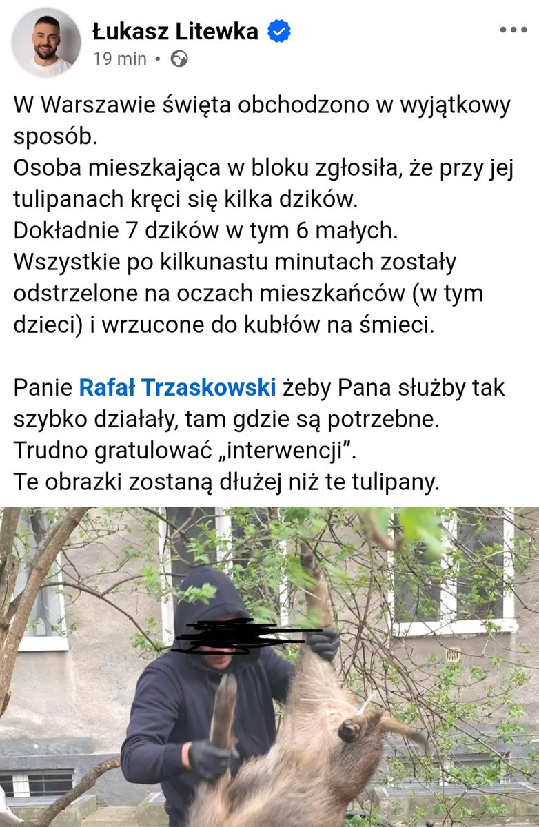 Adam🐎 tweet media