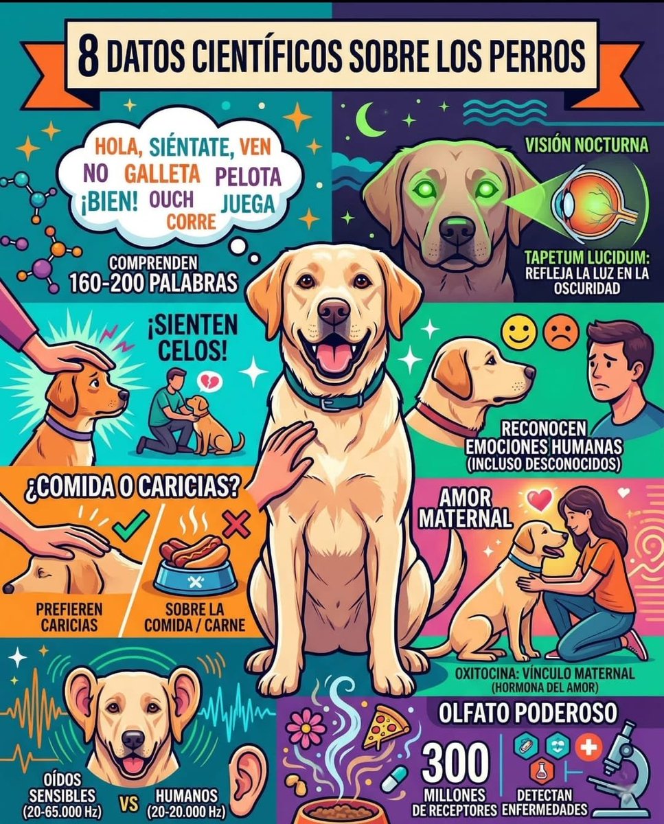 ᑭᏞᗩᑎᗴᎢᗩ Ꮓᗩᖇᑭᗩ tweet media