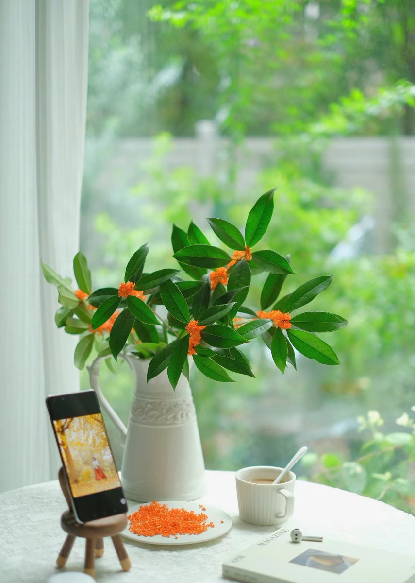 Joesteinsenburg's tweet photo. Pick one tiny hobby you love—start with 10 mins daily. Paint a doodle, grow a bean, learn 2 guitar chords. Small steps = big joy over time! https://t.co/jwaB6ZOZjh