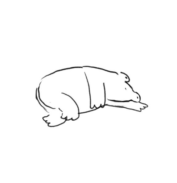 Voledea🇺🇦 tweet media