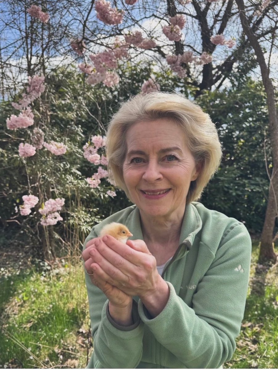 Robin Monotti tweet media