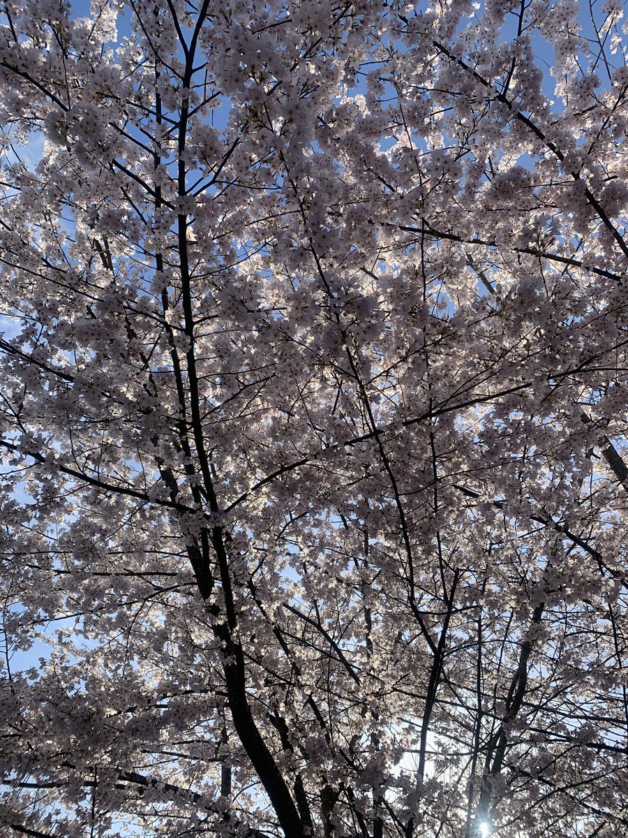 Ahoy There 🏝️ tweet media