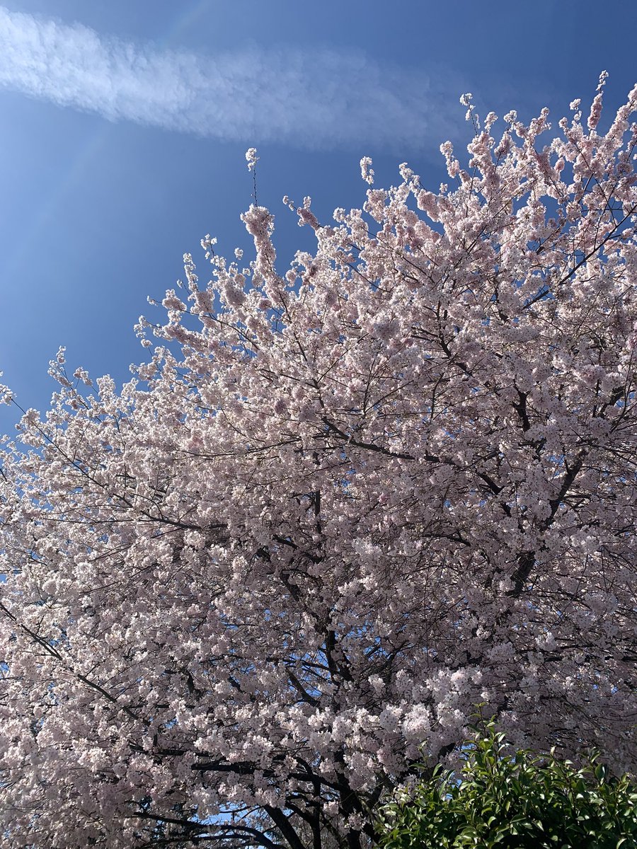 Ahoy There 🏝️ tweet media