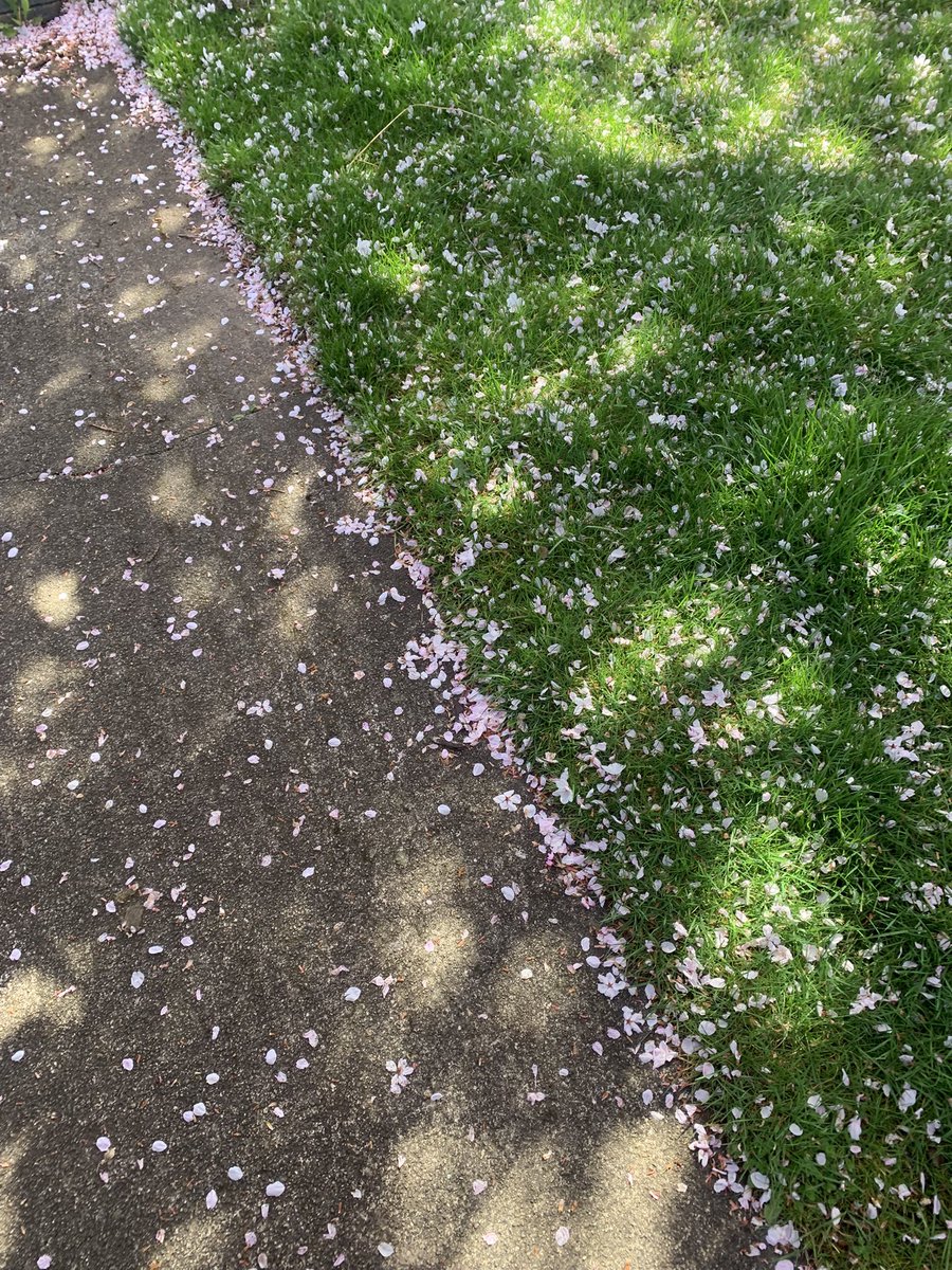 Ahoy There 🏝️ tweet media