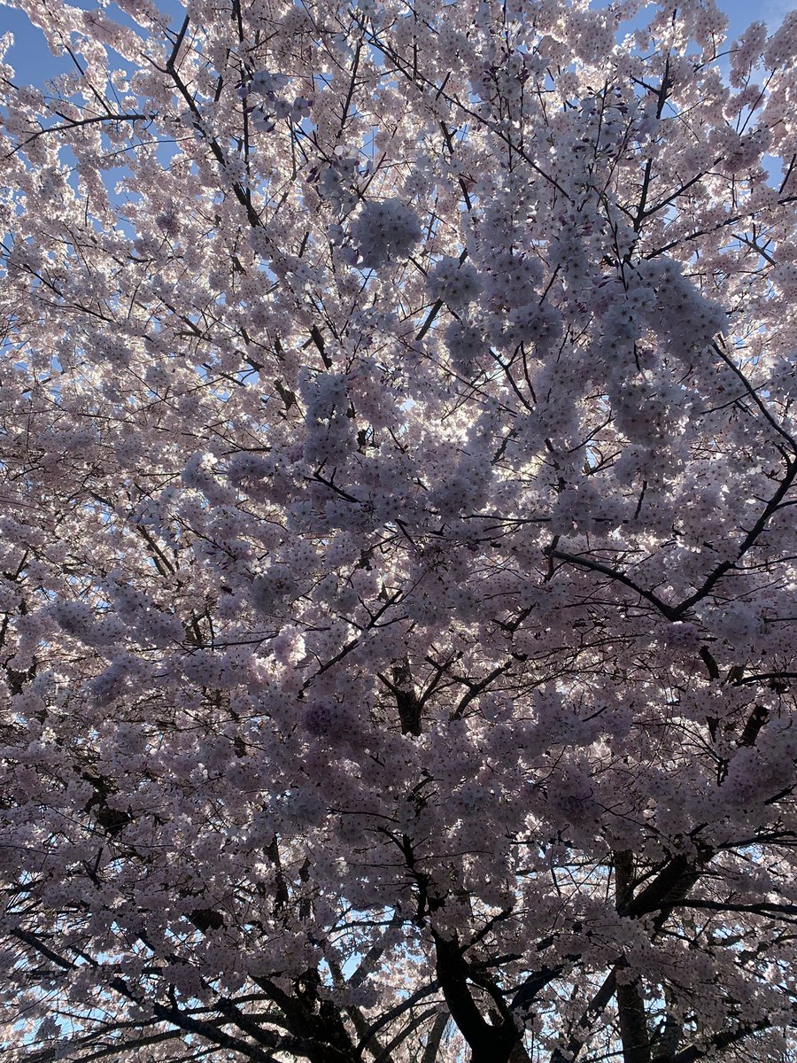 Ahoy There 🏝️ tweet media