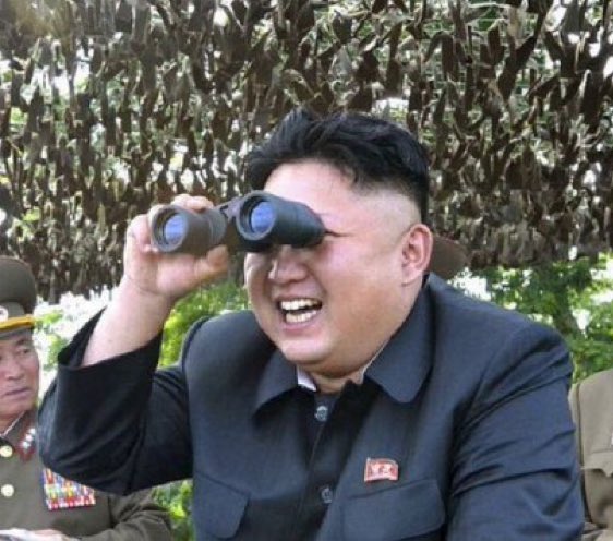 Sara Rose 🇺🇸🌹 tweet media