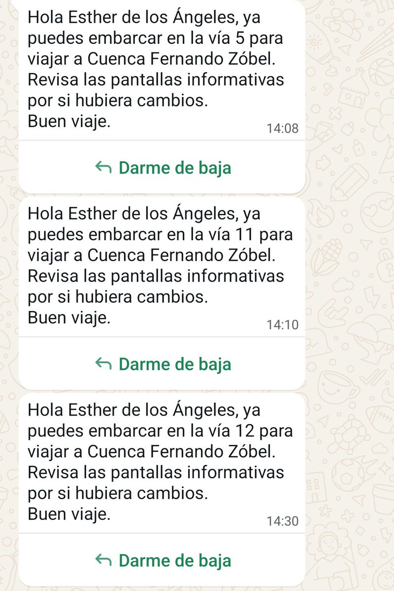 Esther de los Ángeles 🐈‍⬛ tweet media