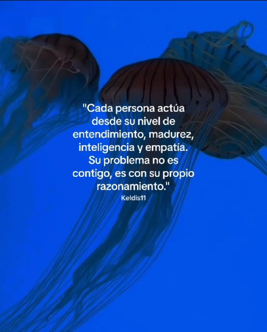 LA || 🆁 ICARDOMENDOZA (@ricardomenhdez) on Twitter photo 