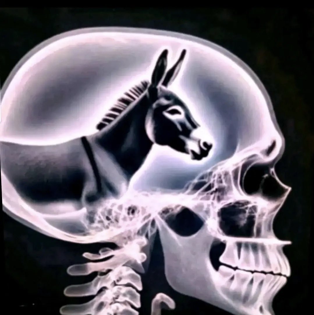 ريــــــــــان tweet media