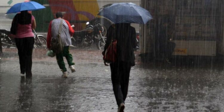 🌐Marítima & Portuaria Internacional🌎🛳️ tweet media