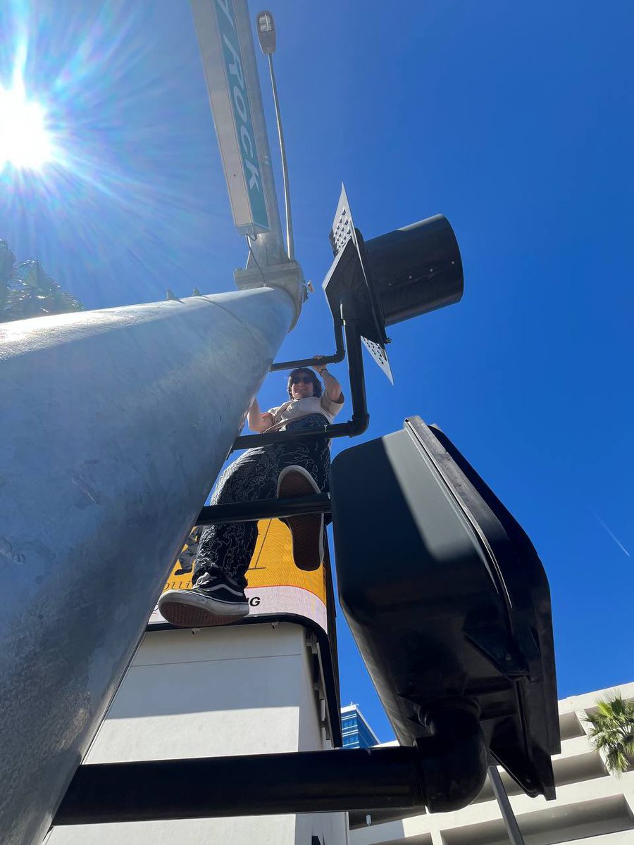 Fluffy Husky tweet media