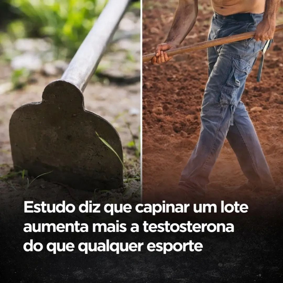 Tome um Whey e uma creatina e vá carpir um lote

Os melhores suplementos estão na <a href="/strongestsupps/">Strongest Supplements</a>

Use o cupom ZANFA para garantir seu desconto

strongest.com.br