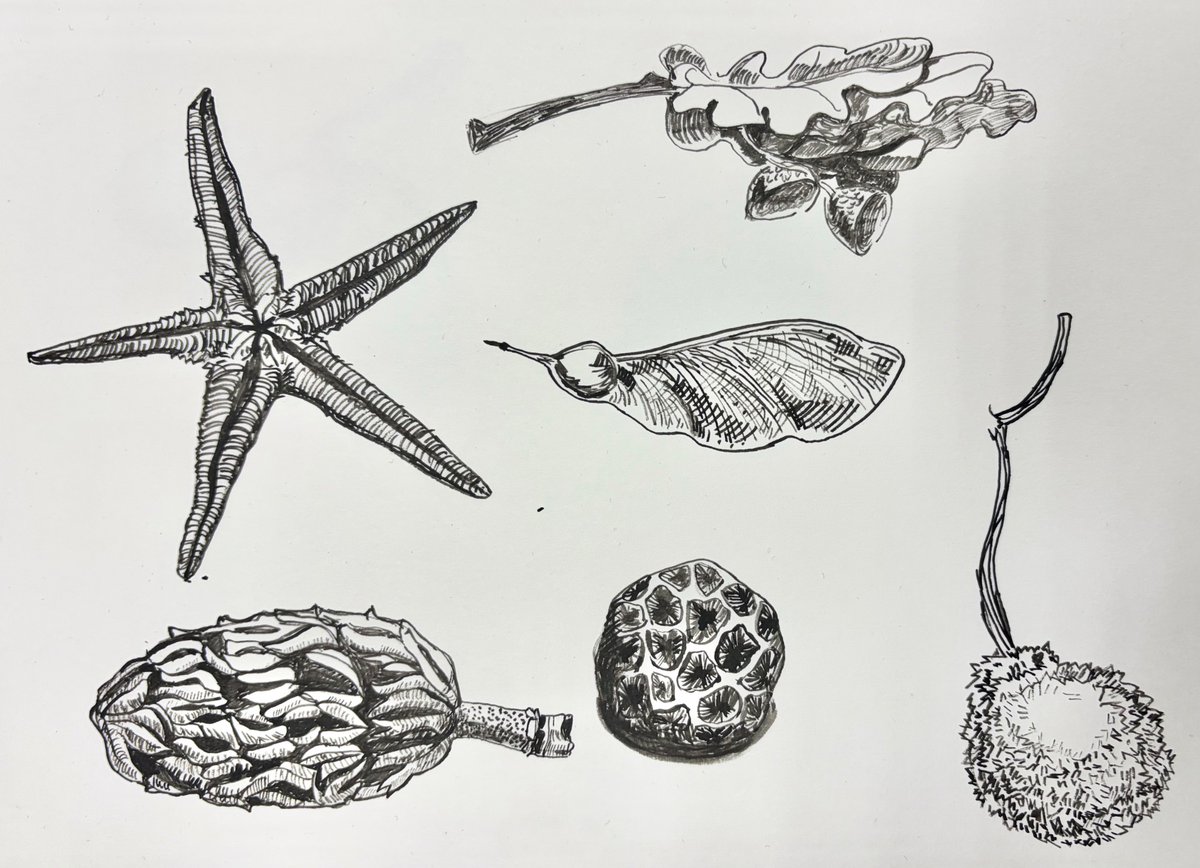 honza tamerlanov🪗 #darkwoke tweet media