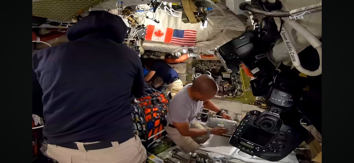 Mike Mulvey tweet media