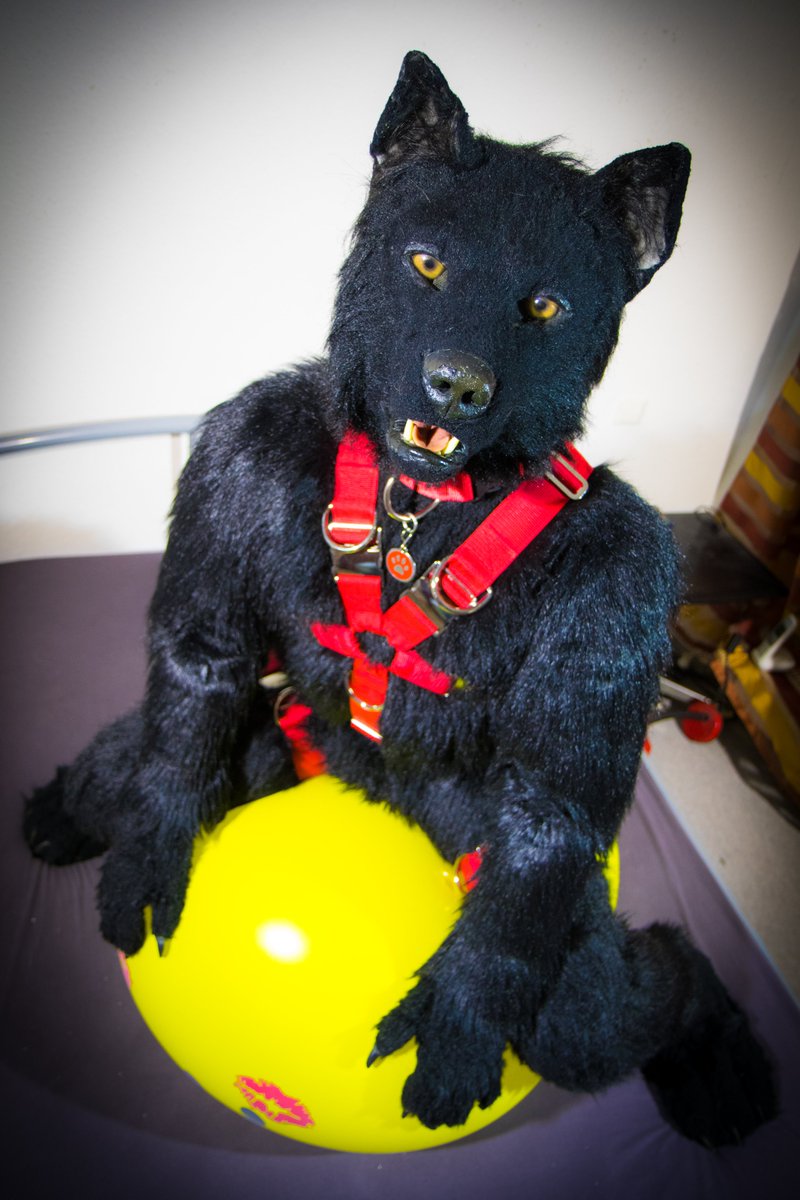 NaughtyBerk 🇩🇪🇳🇱 🔜 2Dance 🇩🇪 tweet media