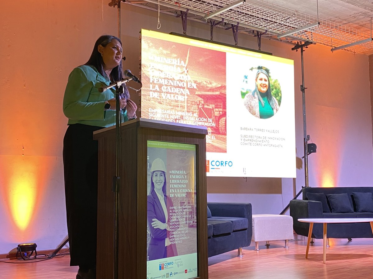 Comité Corfo Antofagasta tweet media