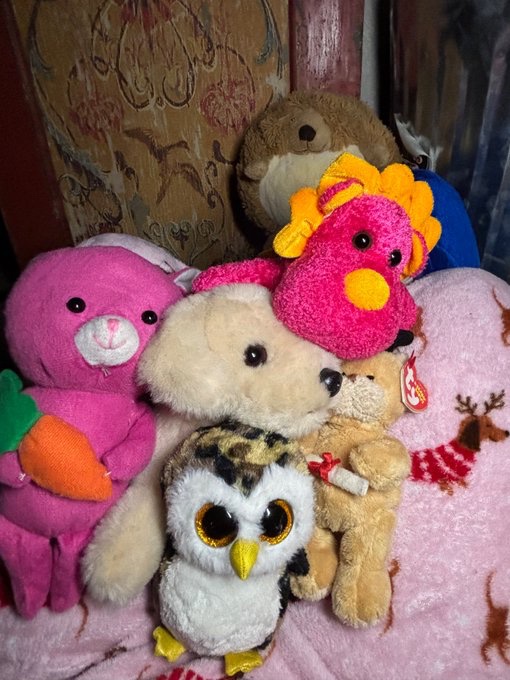 Notabunny tweet media