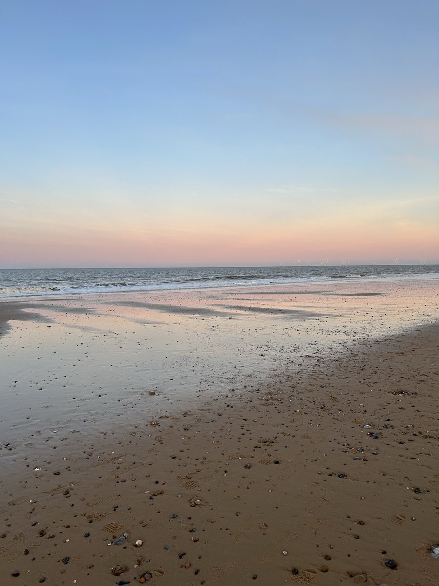 🥀Raine🥀 tweet media