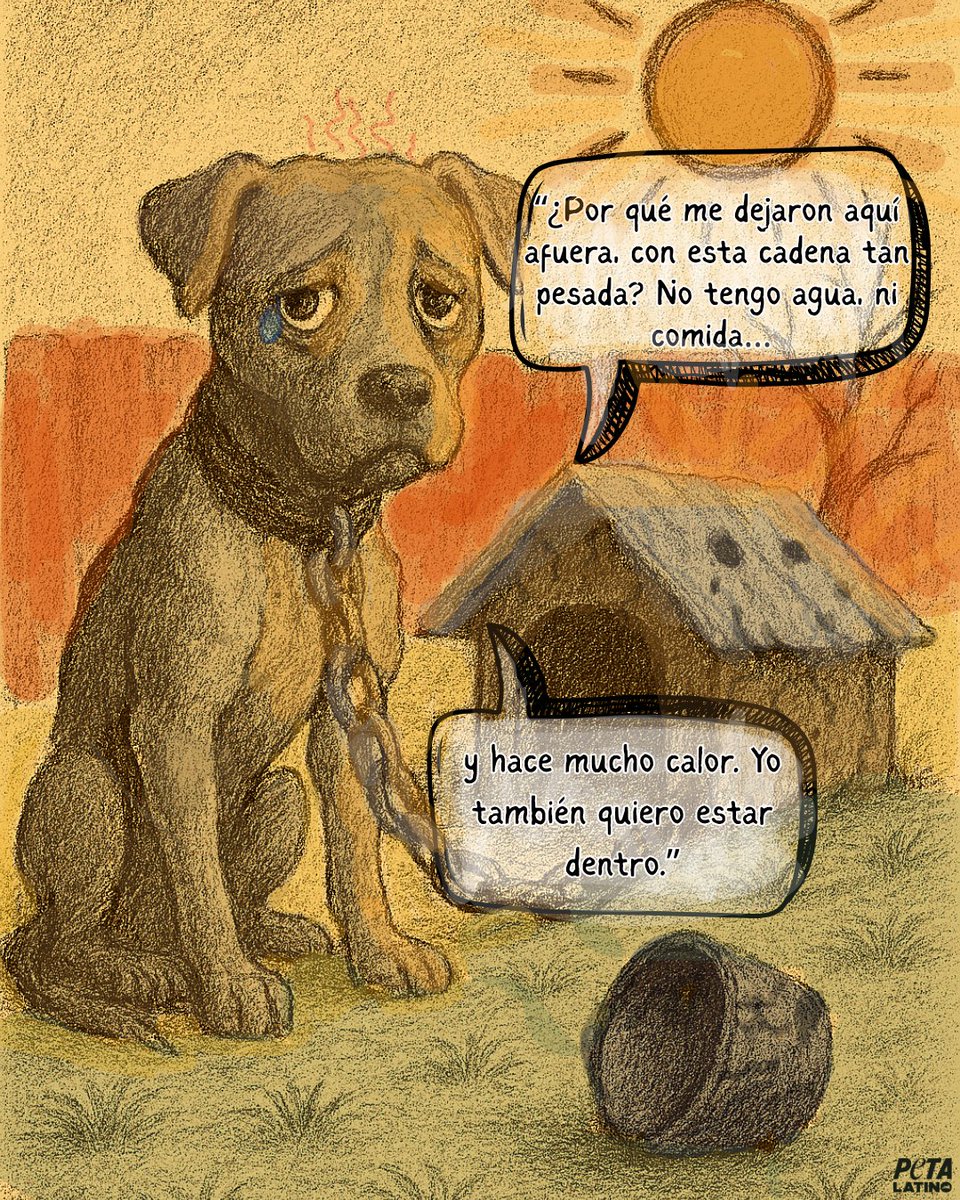 PETA Latino tweet media