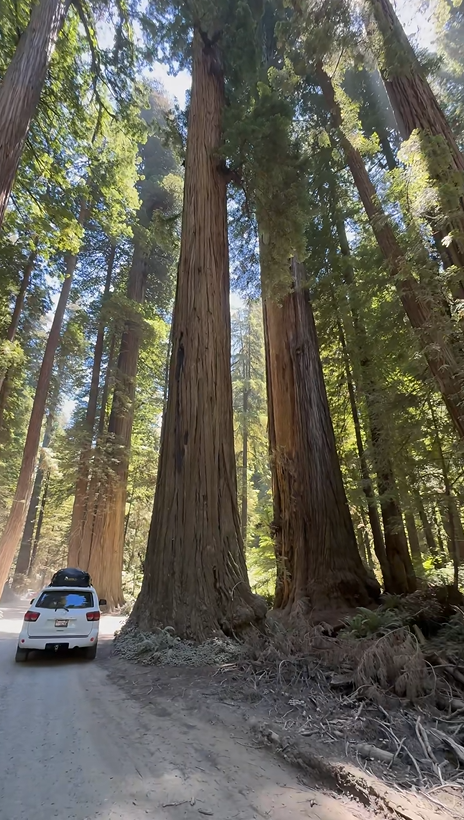 Ana Cvetkovic tweet media