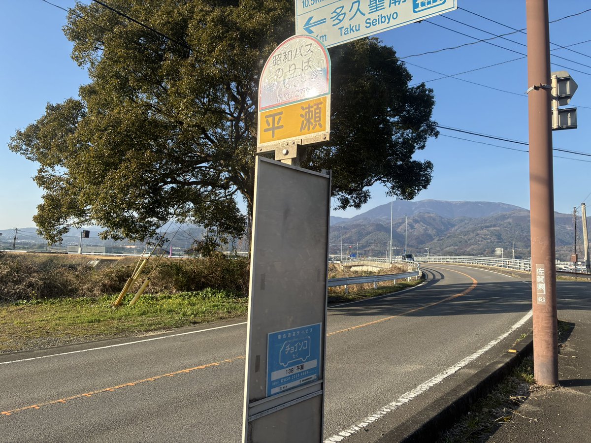 マンドラゴラ tweet media