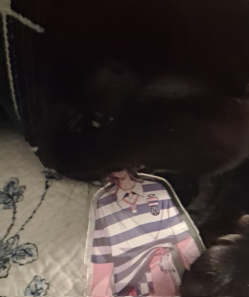 elois 💭 tweet media