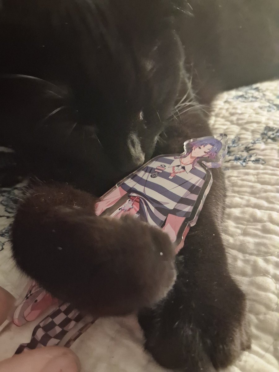 elois 💭 tweet media