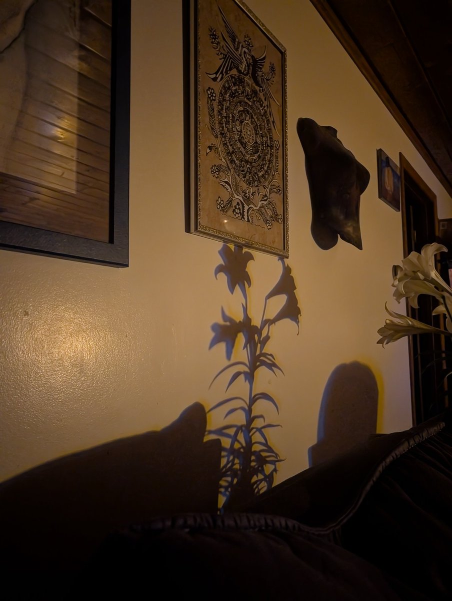 casey armstrong tweet media