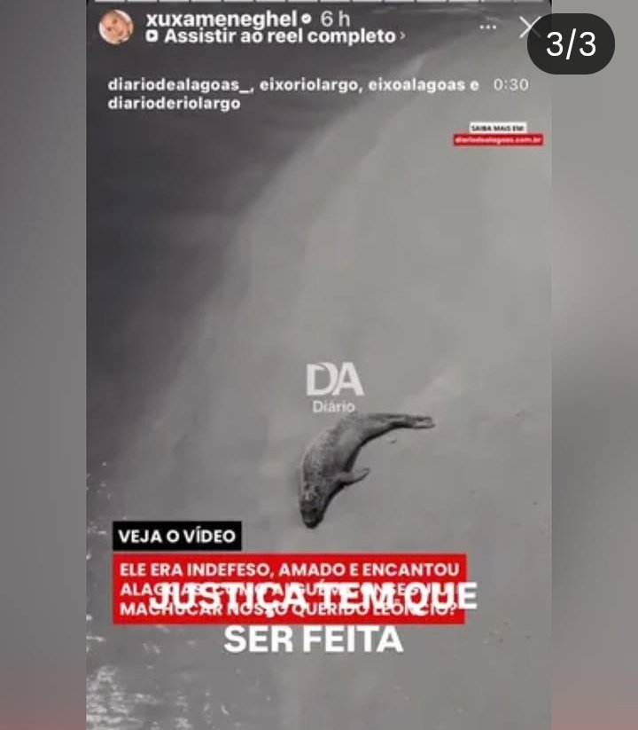 Lola 🧠🎯 tweet media