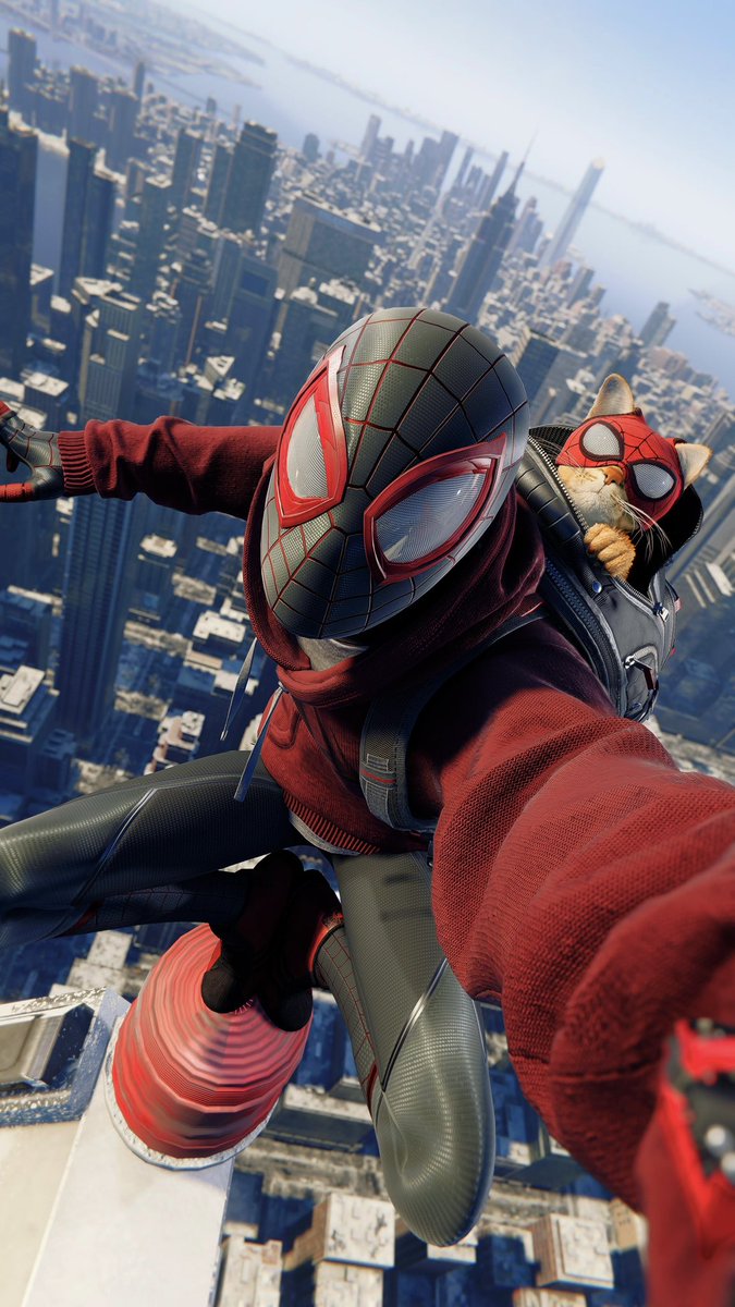 Evolution Pixel tweet media