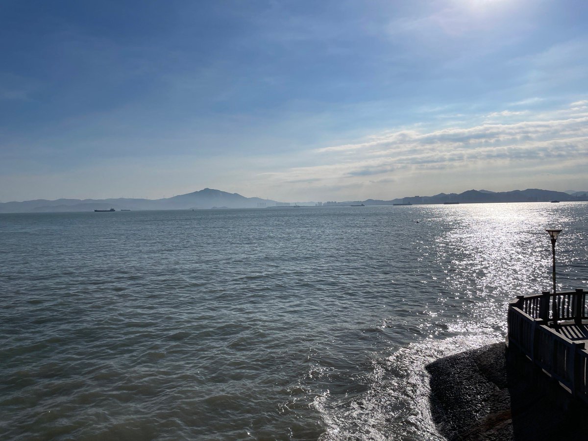 dsｰeagles tweet media