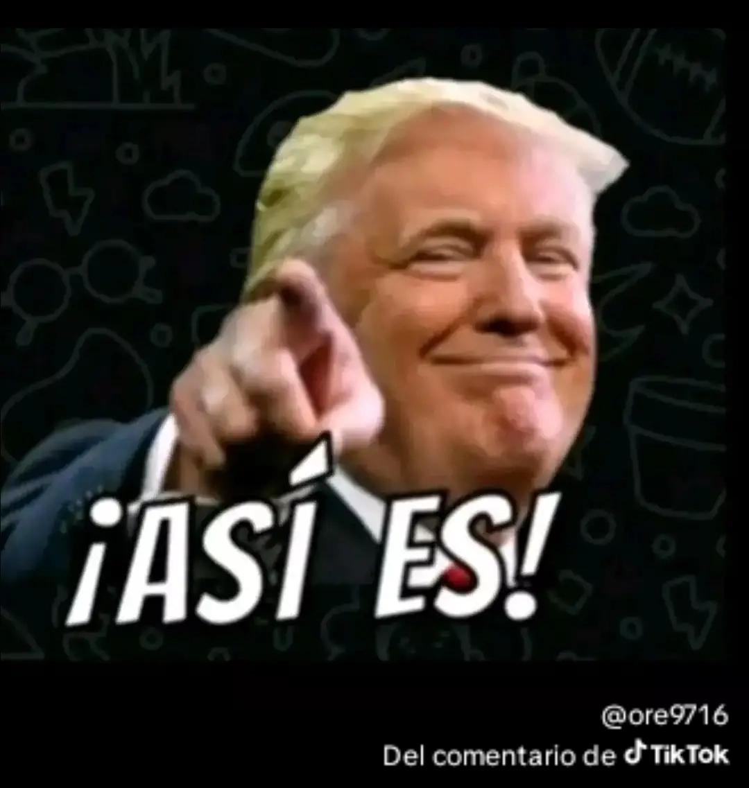 Marco Bravo tweet media