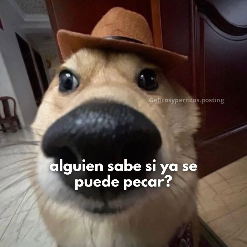 Oskarin Garrido tweet media