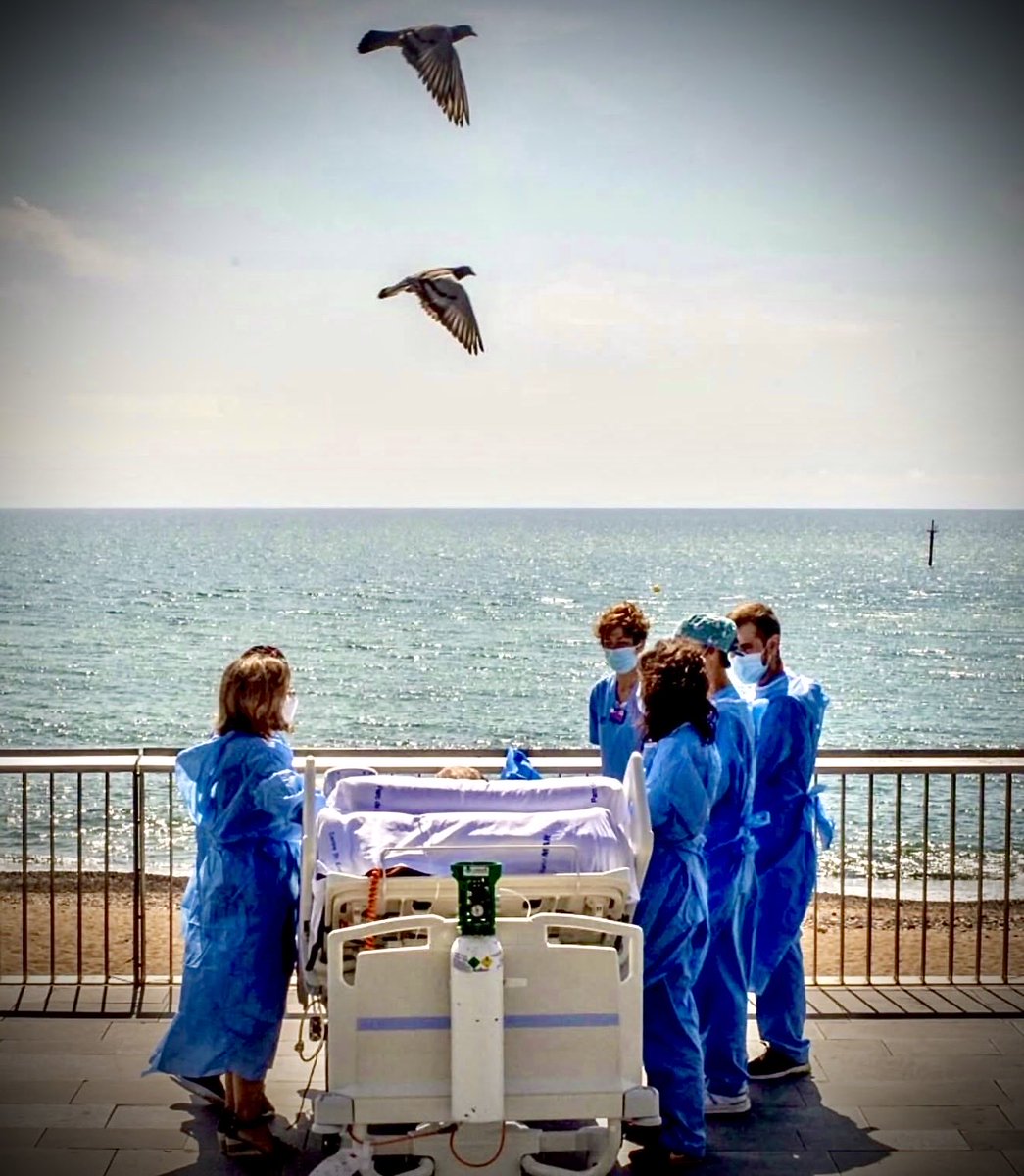 HPB unit Hospital del Mar tweet media