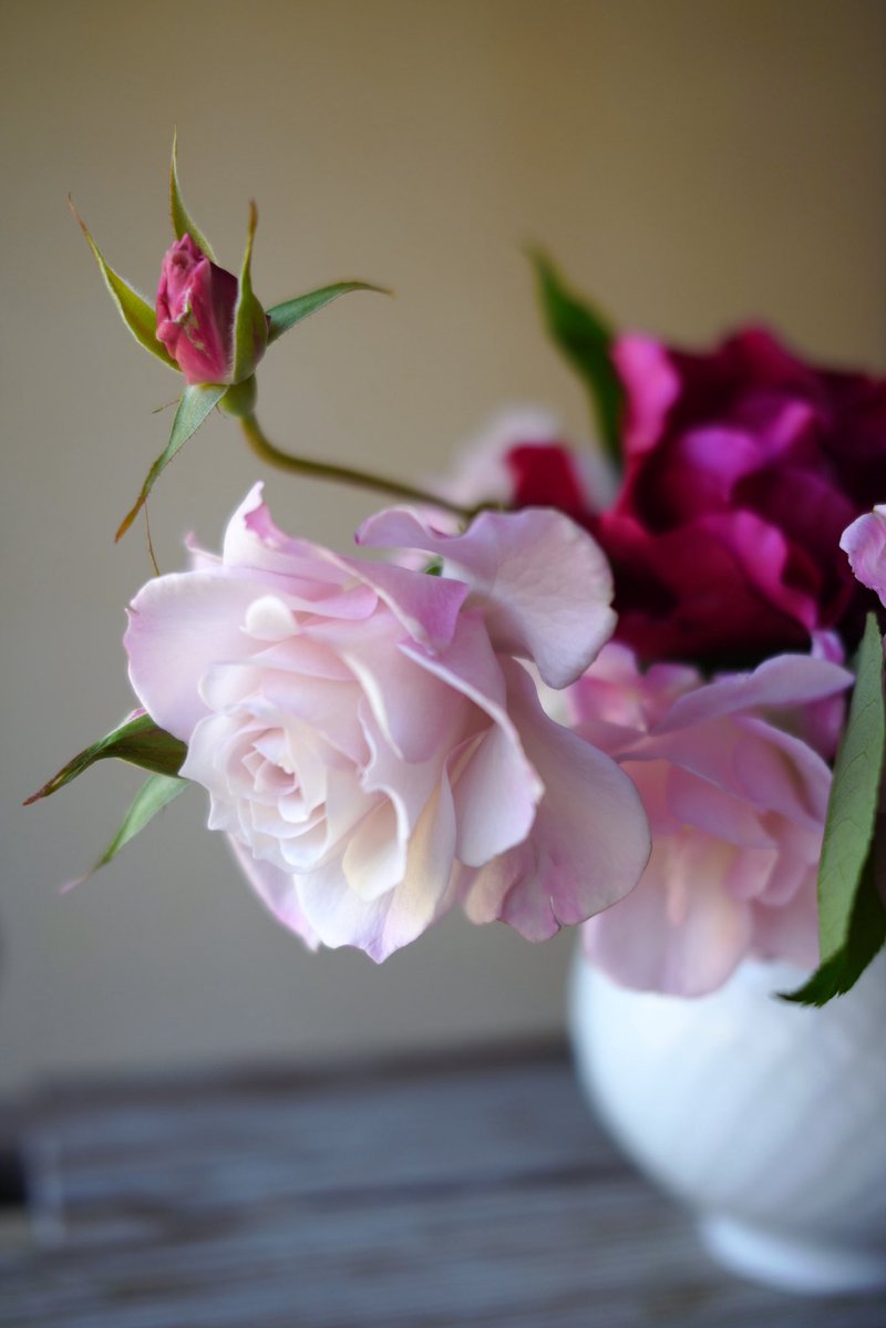 trois 花の会　5/16 6/13@静岡アトリエ tweet media