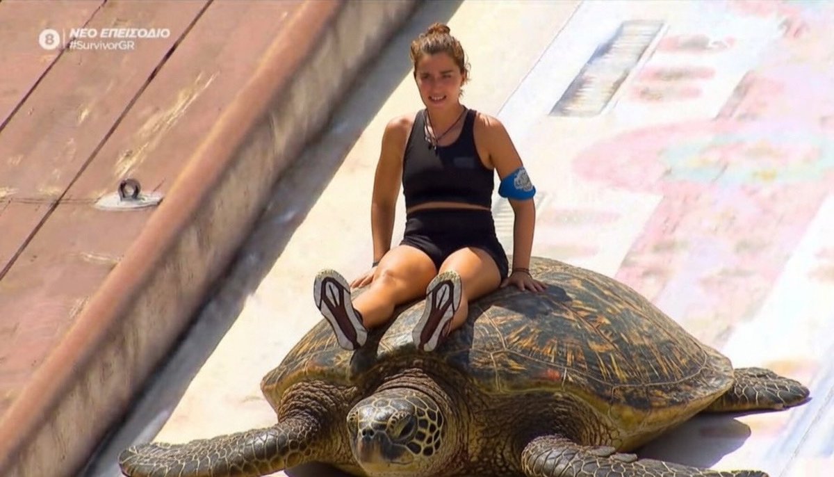 ellie dayneris tweet media