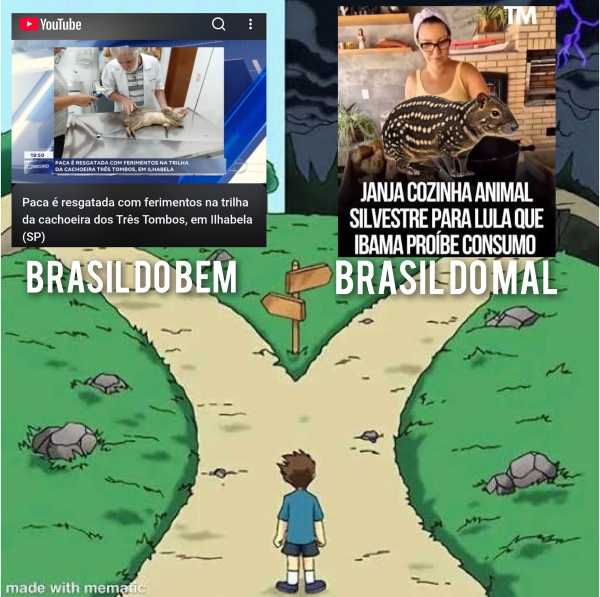 Datafalha tweet media