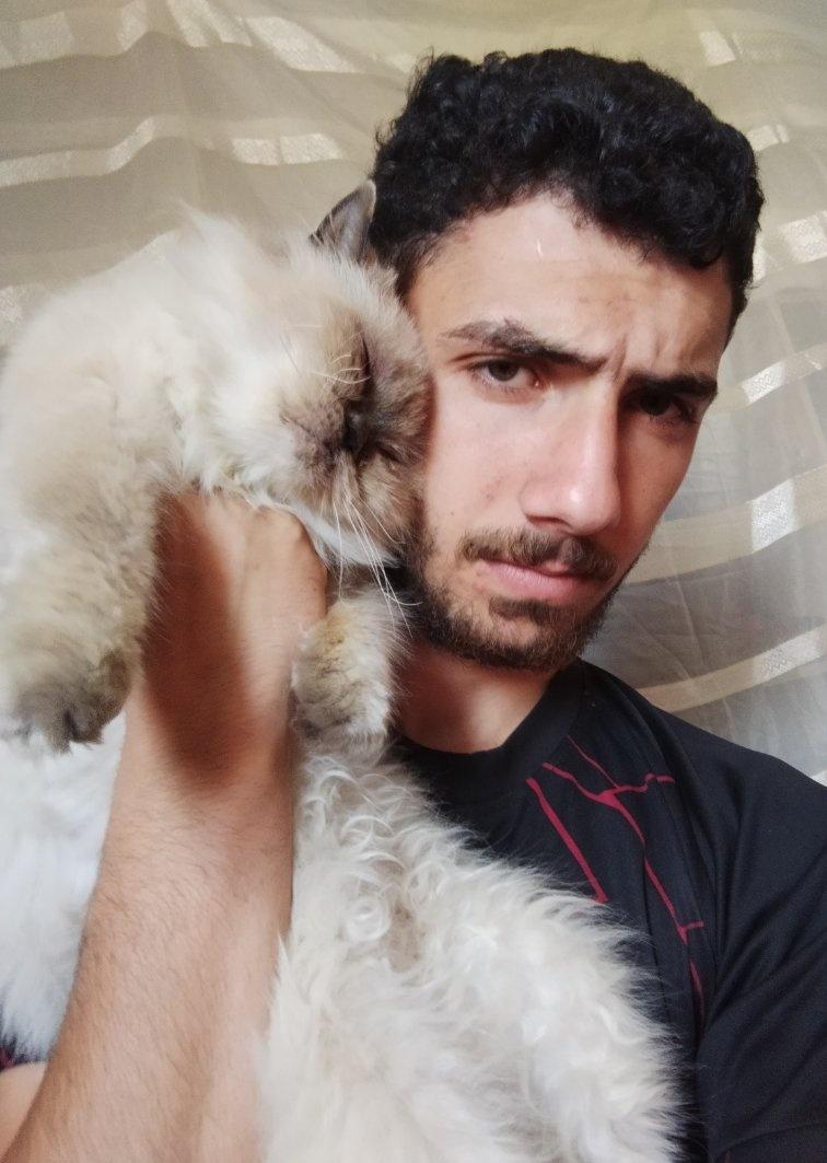 abod in Gaza🇵🇸 tweet media